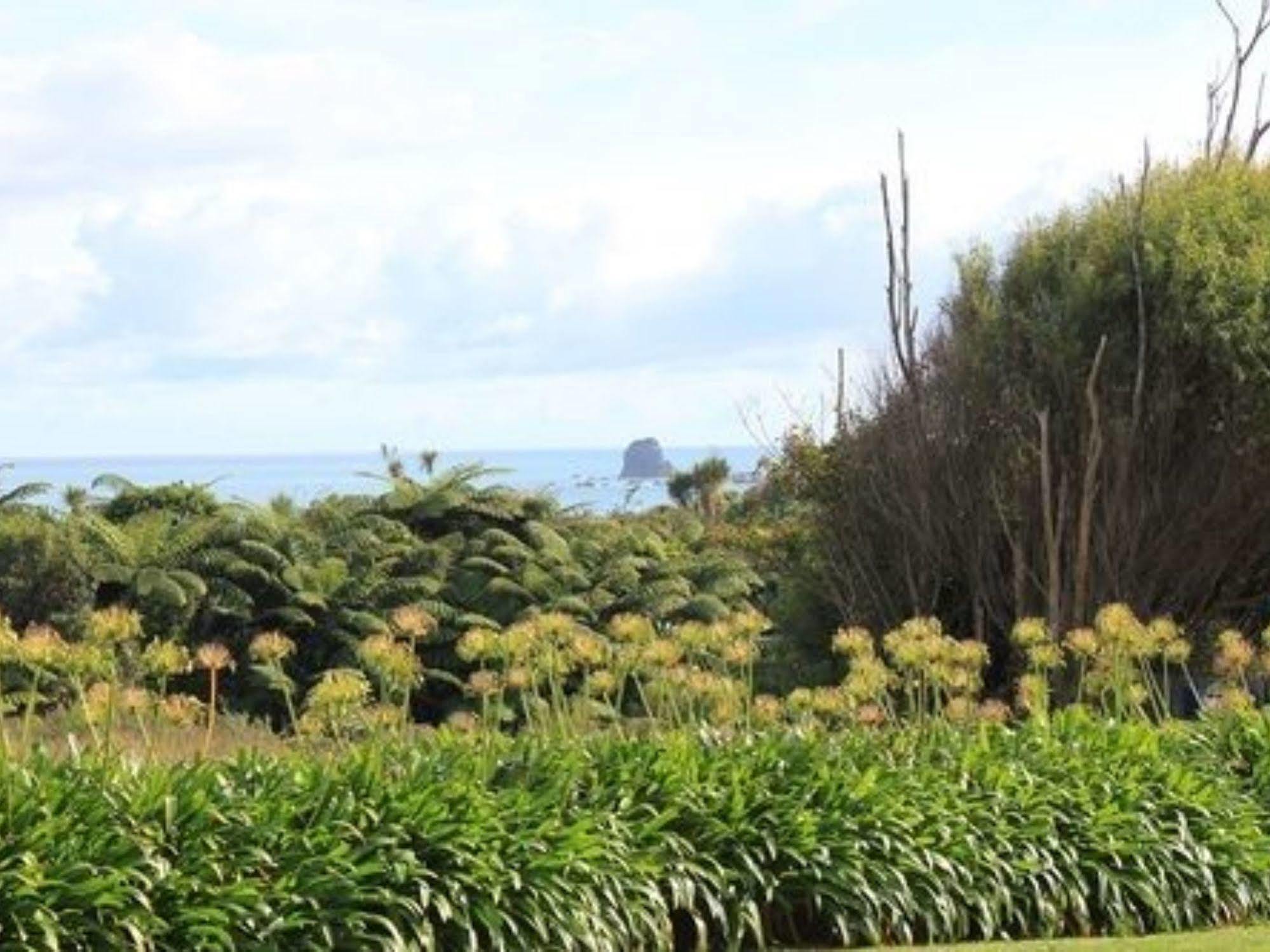 Omau Settlers Lodge Motel Cape Foulwind Buitenkant foto